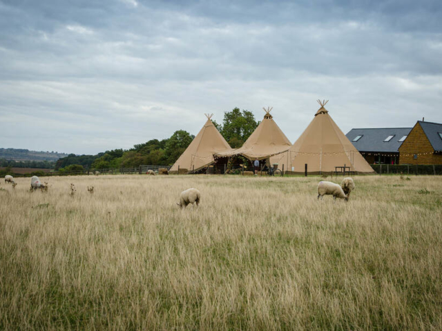 The Stables-Firetree Photography-Teepees and Tents